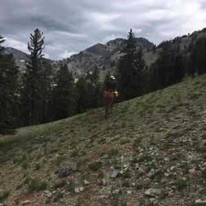 Meet your Posher, Tj